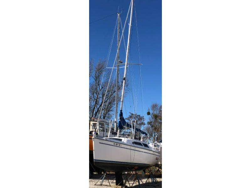 1998 catalina C250 located in North Carolina for sale
