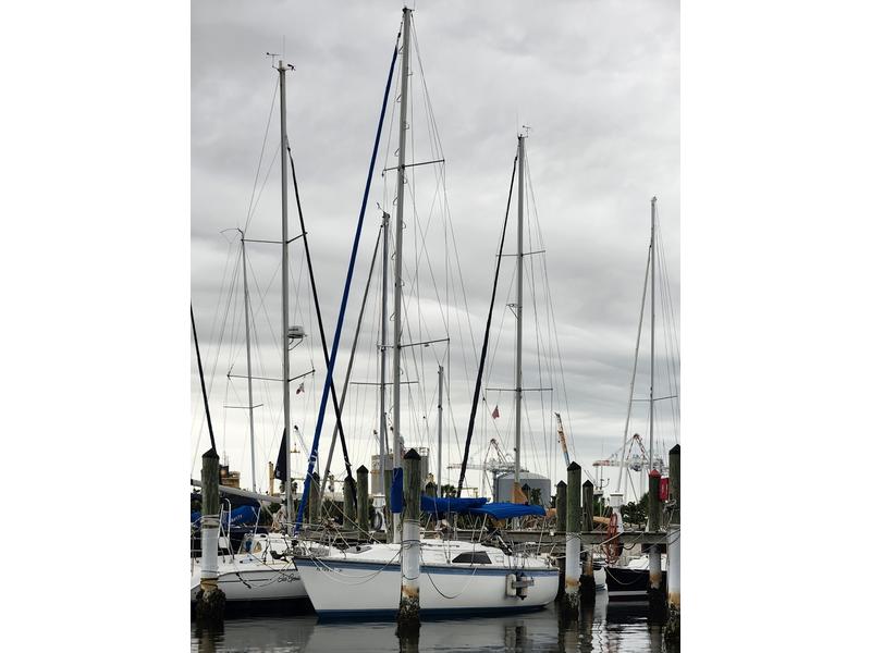 1984 Hunter 31 located in Florida for sale