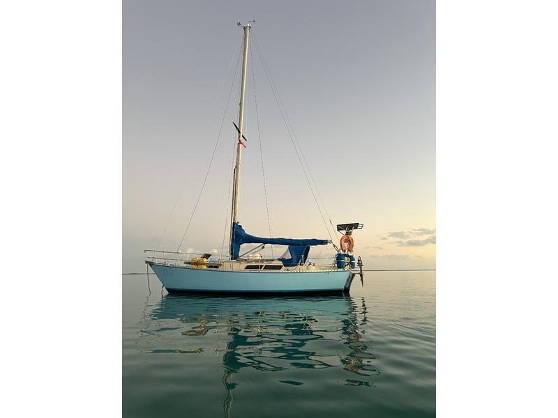 1991 Morgan Mosenthal Marine Morgan Ocean 31 located in Outside United States for sale