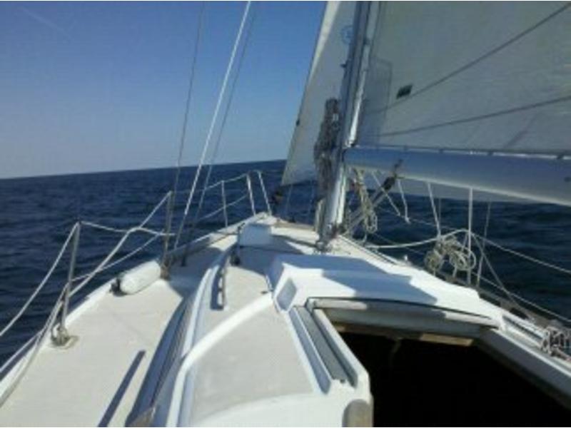 10 meter sailboat for sale