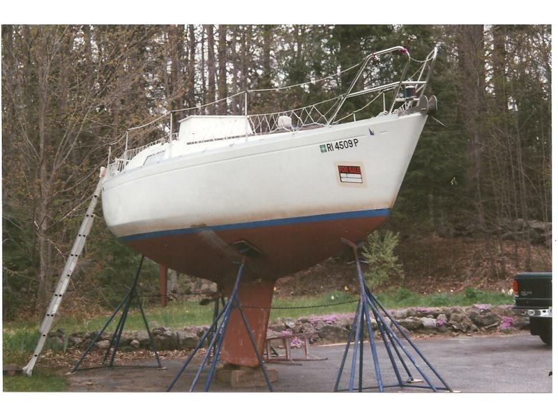 scampi sailboat for sale