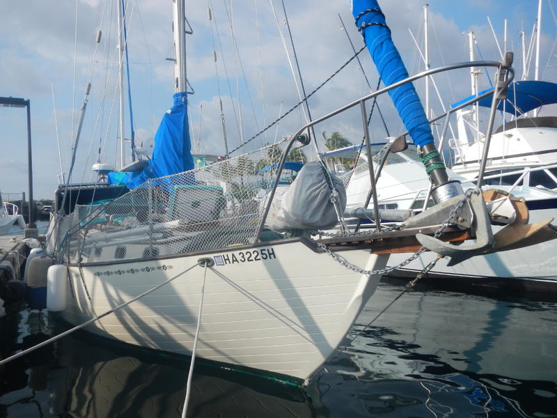 1981  Aries located in Hawaii for sale