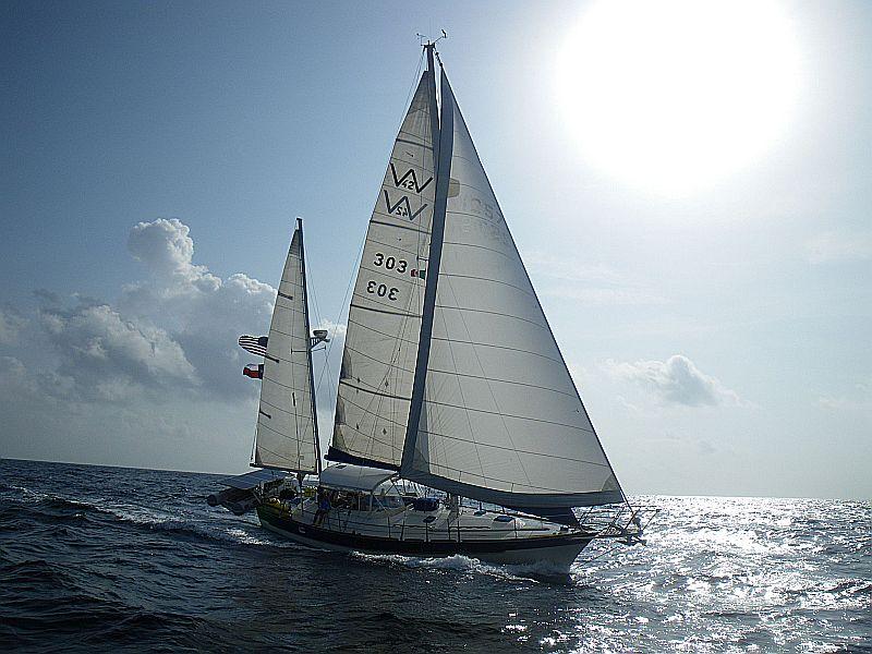 irwin 41 sailboat for sale