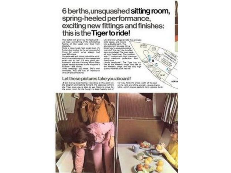 Westerly Tiger