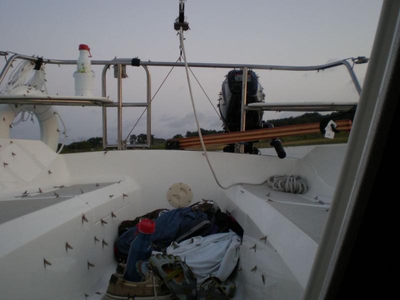 2012 Precision 18 sailboat for sale in California