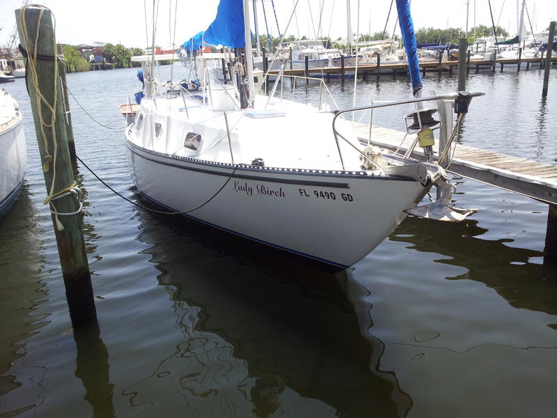 salvage sailboats for sale in florida