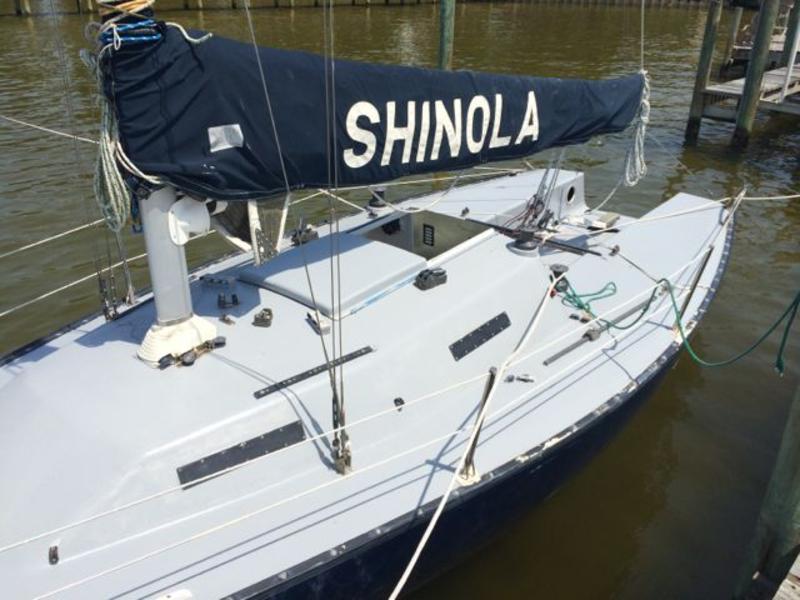 sonar sailboat price