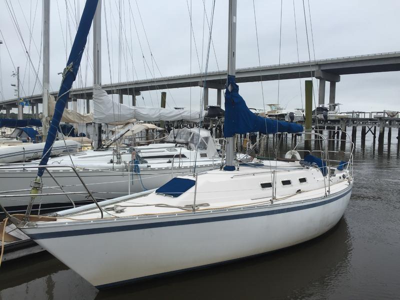 cs 33 sailboats for sale