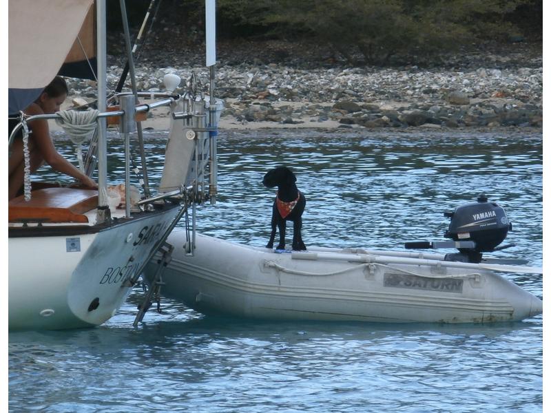 1980 Cape Dory 30 sailboat for sale in Outside United States