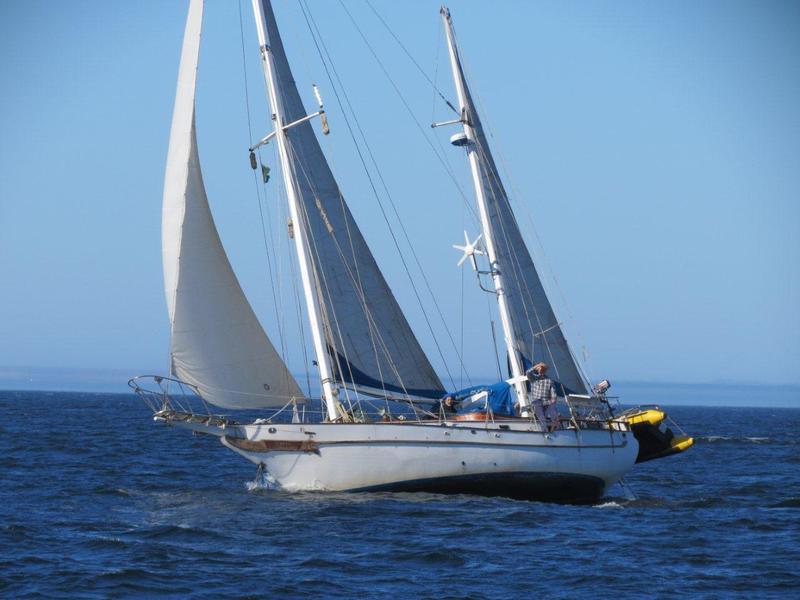 sailboats for sale taiwan