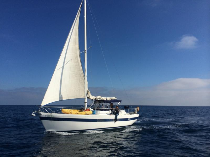 coronado sailboat for sale