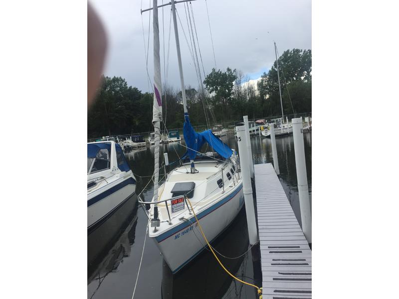 1986 Laugna  located in Michigan for sale