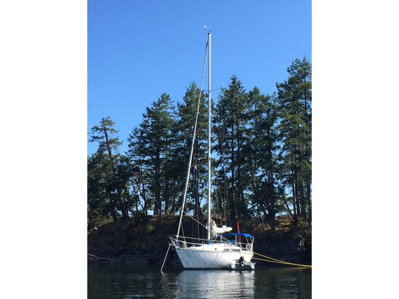 c and c sailboats for sale by owner