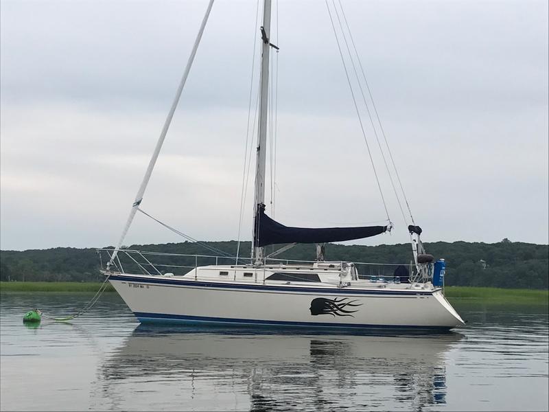 O'day 31