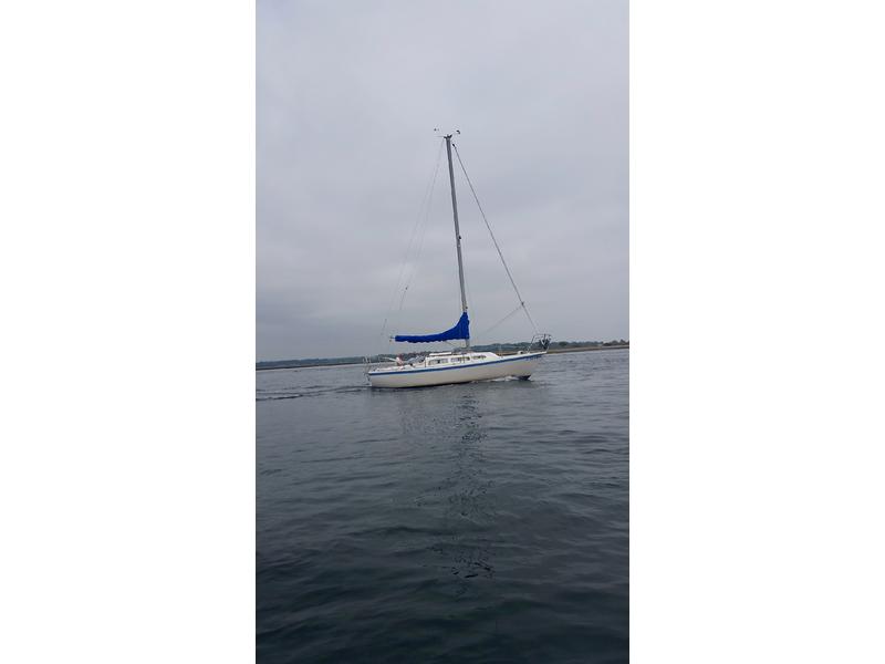 1978 Catalina Catalina 27 located in Connecticut for sale