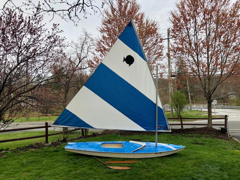 alcort sunfish sailboat