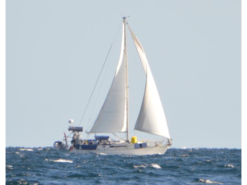 1987 Canadian Sailcraft Merlin located in Outside United States for sale