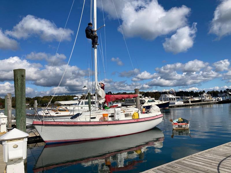 small monohull sailboat for sale