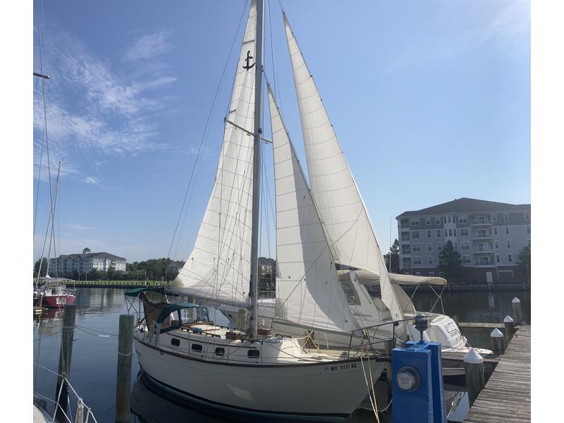 southern cross 31 sailboat