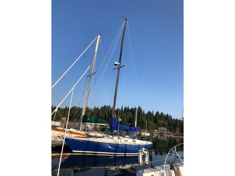 yankee 38 sailboat