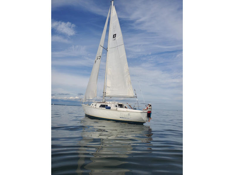 1976 Pearson 30 located in Maryland for sale