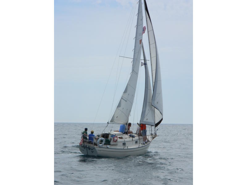 Bayfield 29