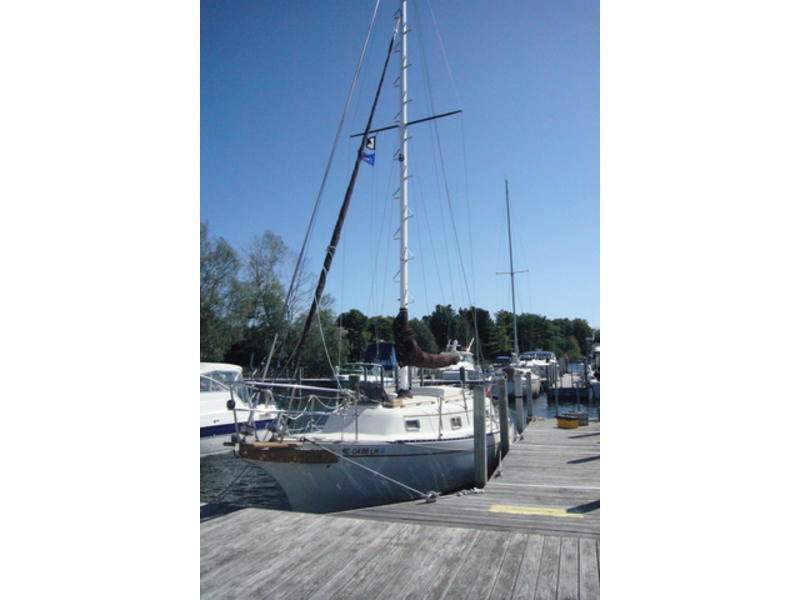 Bayfield 29