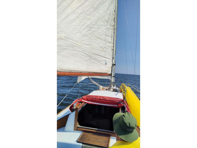 1964 Amsterdam Shipyard G de Vries Lentsch TRIPP 29 sailboat for sale in Maryland