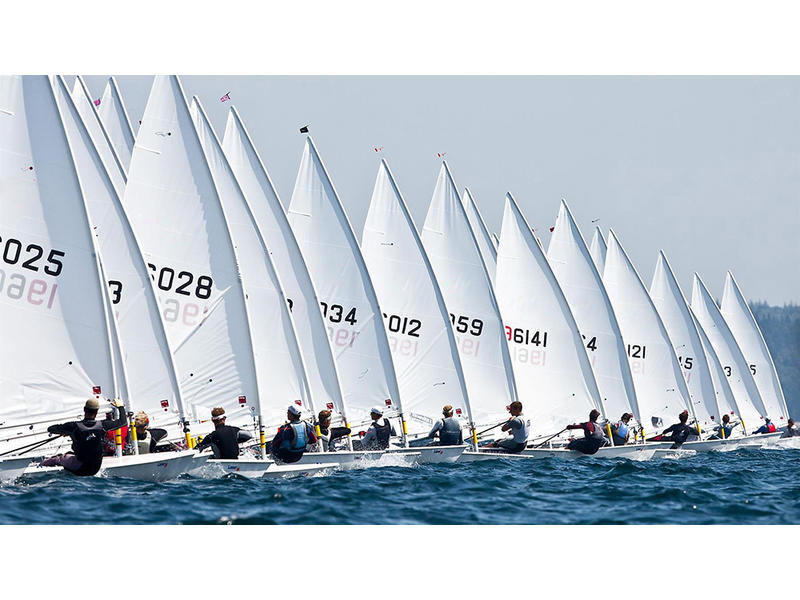 zim sailboats for sale