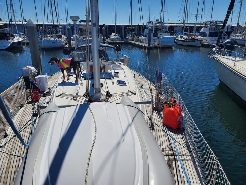 diva 451 sailboat