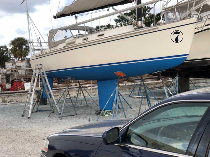 freedom 25 sailboat for sale