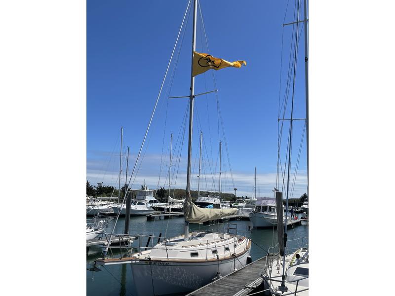 1985 Island Packet IP31 located in New York for sale