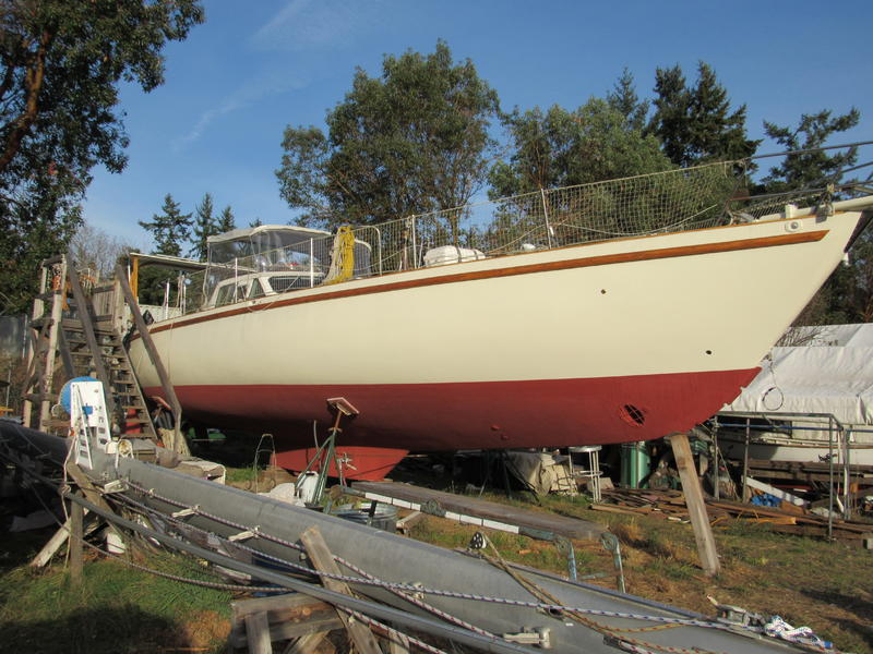 cold molded sailboat for sale