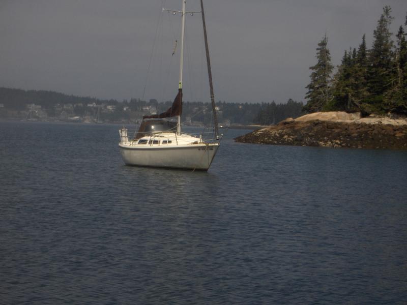 1981 Catalina 27 located in New York for sale