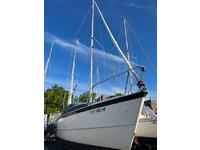 Macgregor 26M Click to launch Larger Image