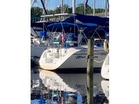 Catalina Catalina 320- Click to launch Larger Image
