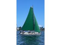 Custom Abaco 24 Click to launch Larger Image