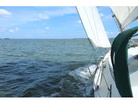 Tartan 30c Click to launch Larger Image