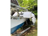 Tremolino T-Gull Click to launch Larger Image