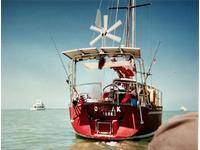 MetalCraft Amazon 41 Click to launch Larger Image