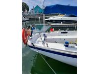 CalJensen Marine Cal34 Click to launch Larger Image