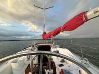 Hunter Legend 35.5 Click to launch Larger Image