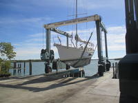 Herreshoff Diddikai Click to launch Larger Image