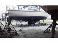 Catalina 30 Tall Rig Shoal Draft Click to launch Larger Image