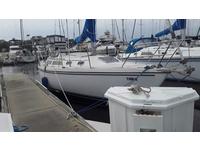 Catalina 30 Tall Rig Shoal Draft Click to launch Larger Image