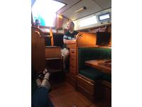 CT CT-38 Warwick Click to launch Larger Image