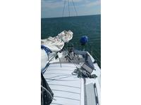 Hunter Hunter Cherubini Click to launch Larger Image