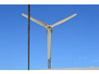 Mason 43 Click to launch Larger Image