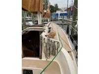 Tillotson Pearson Freedom 28 cat ketch Click to launch Larger Image