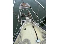 Nonsuch Classic 30 Click to launch Larger Image